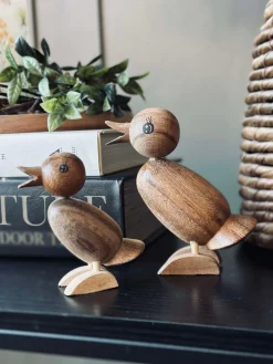 And Succitræ - Lille