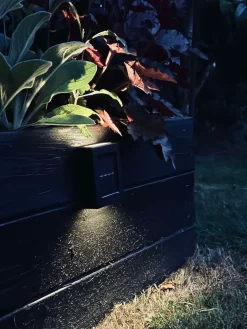 Aura Solar Lampe - 2 Pak