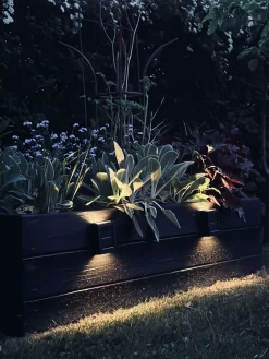 Aura Solar Lampe - 2 Pak