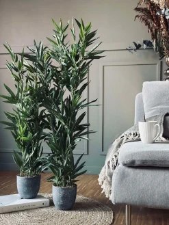 Bambus i potte 110cm