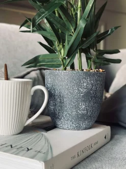 Bambus i potte 110cm