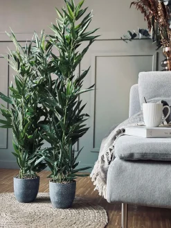 Bambus i potte 110cm