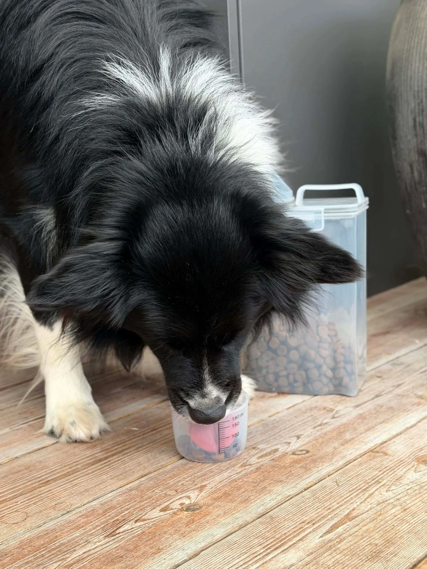 Beholder m. Målebæger til dyrefoder