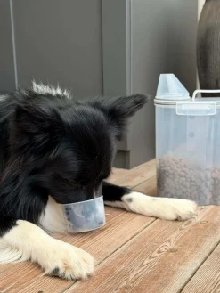 Beholder m. Målebæger til dyrefoder