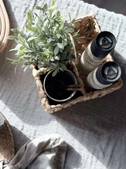 Bestikbakke i vandhyacint