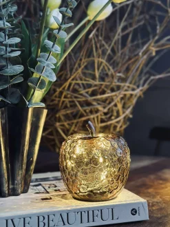 Æble Gylden - Small