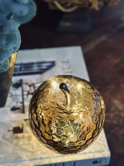 Æble Gylden - Small