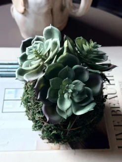 Blomst husløg moskugle