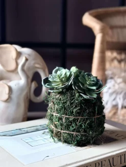 Blomst husløg moskugle