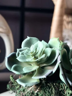 Blomst husløg moskugle