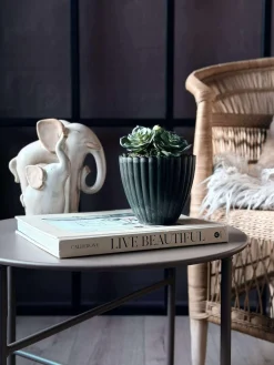 Blomst husløg moskugle