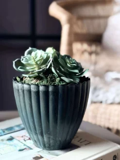 Blomst husløg moskugle