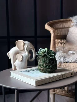 Blomst husløg moskugle