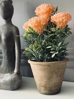 Blomst i rustik potte - Coral