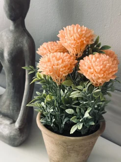 Blomst i rustik potte - Coral