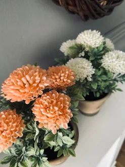 Blomst i rustik potte - Coral