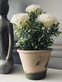 Blomst i rustik potte - Hvid