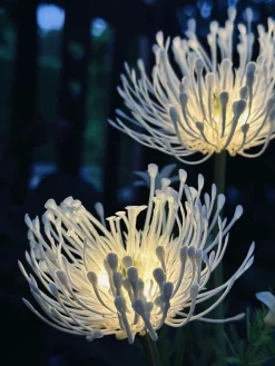 Blomst med solceller - Spider Lili hvid