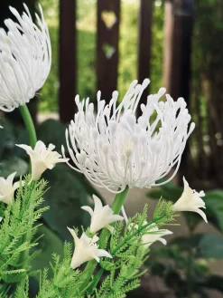 Blomst med solceller - Spider Lili hvid