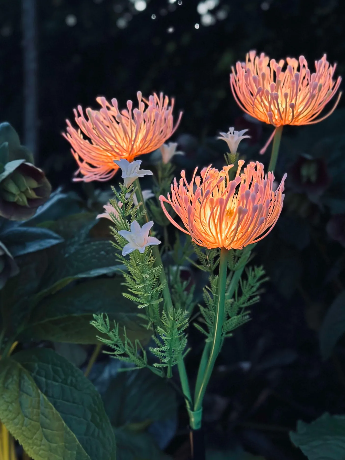 Blomst med solceller - Spider Lili rose