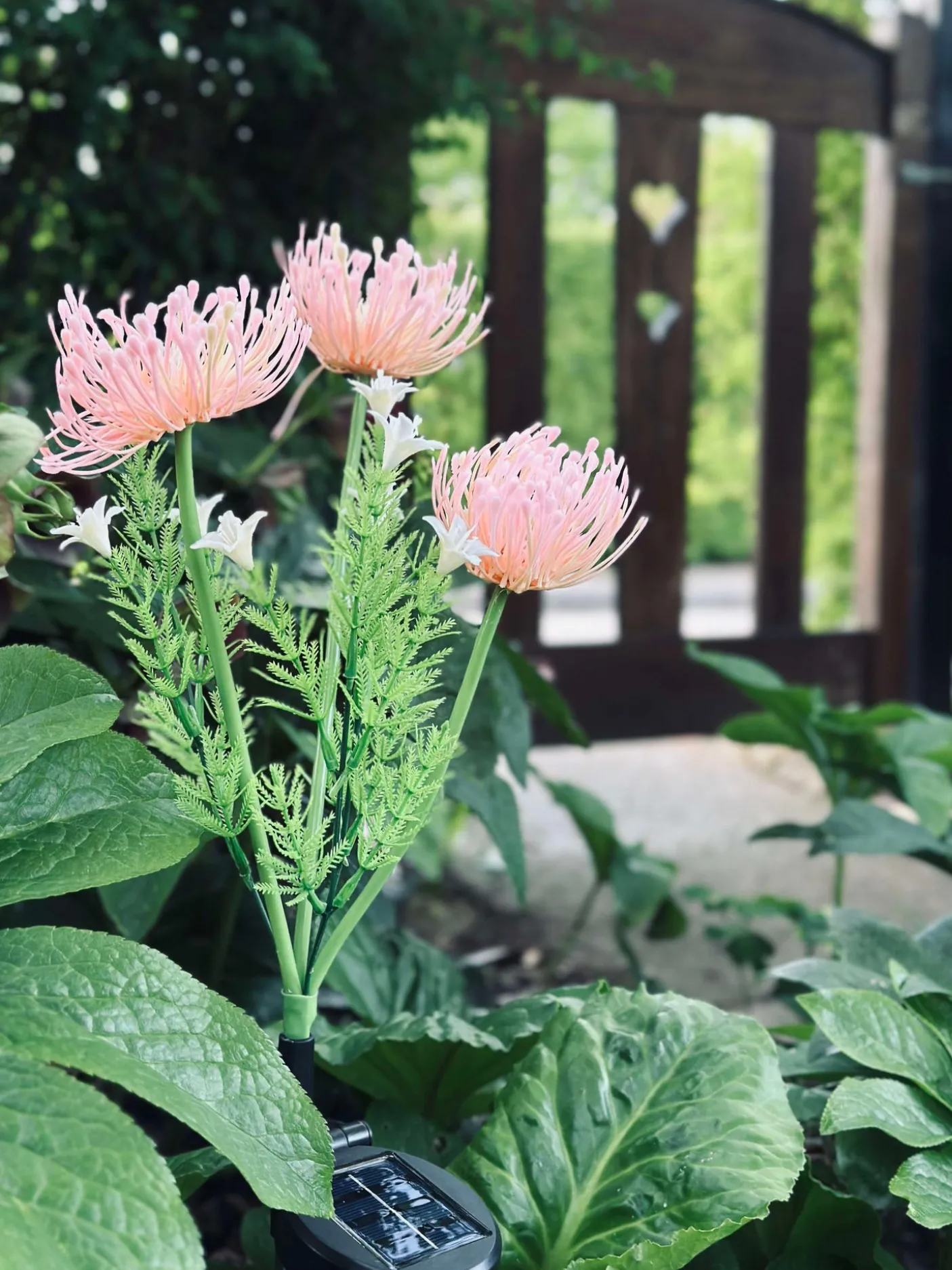 Blomst med solceller - Spider Lili rose