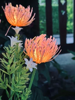 Blomst med solceller - Spider Lili rose