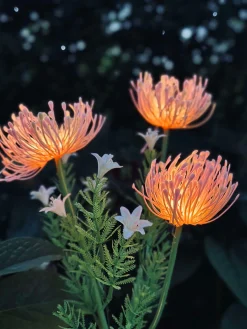 Blomst med solceller - Spider Lili rose