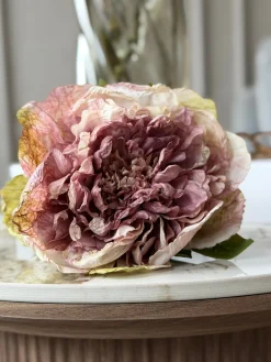 Blomst Pæon - Antik Cream / rosa