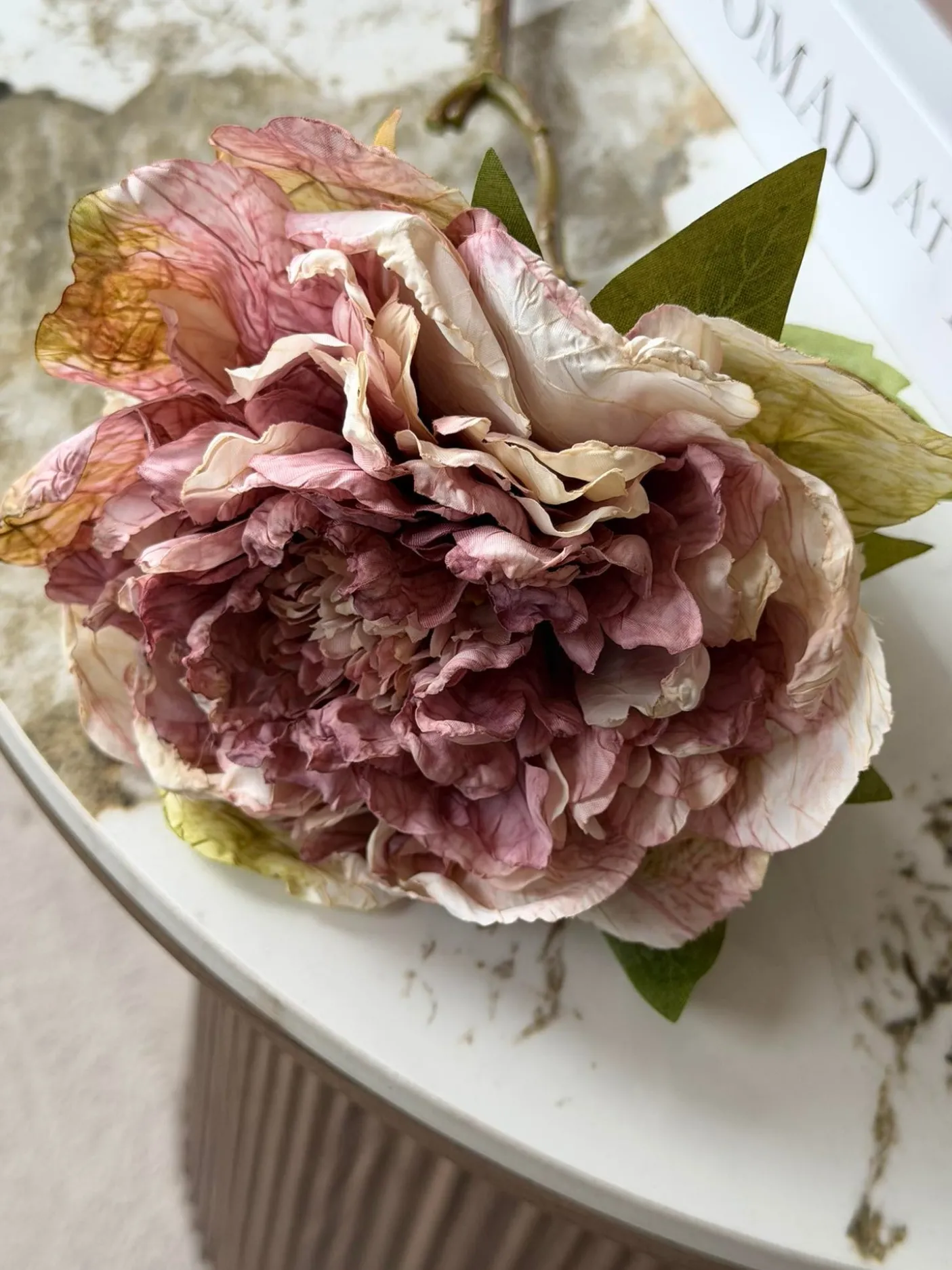 Blomst Pæon - Antik Cream / rosa