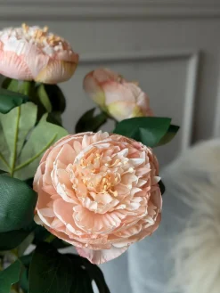 Blomst Pæon - Sart rosa 70cm