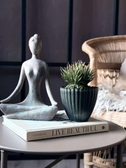 Blomst sukkulent moskugle