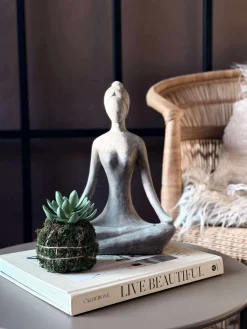 Blomst sukkulent moskugle