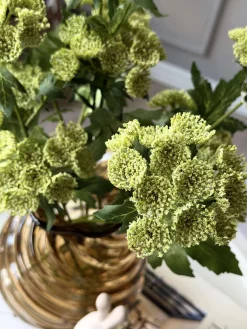 Blomsterstilk - Lime