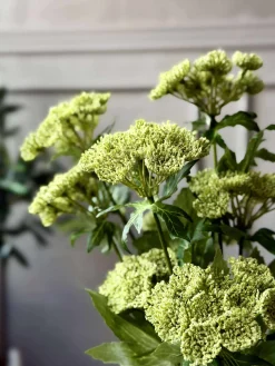 Blomsterstilk - Lime