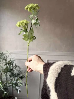 Blomsterstilk - Lime