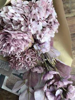 Buket med hortensia - Syren / pink