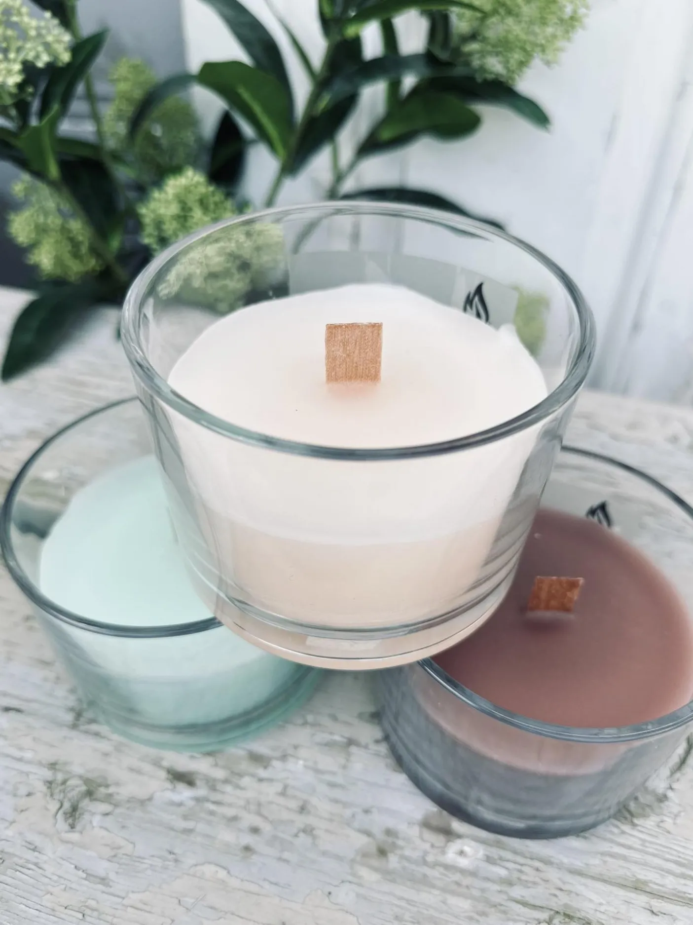 Citronella – Color mix