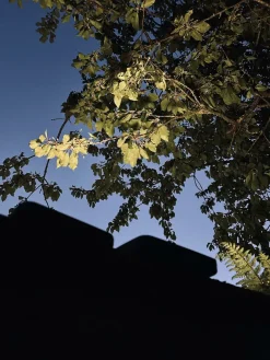 Detector med solceller