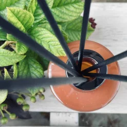 Duftepinde - Sandeltræ 120ml