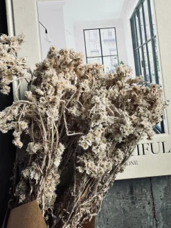 Evighedsbuket Gypsy Natur