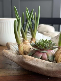 Fad med fugle – Beige