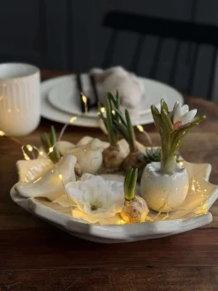 Fad med fugle – White