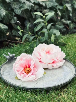 Fuglebad Zink - Flere størrelser