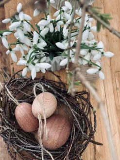 Æg i massiv bøg - Stor
