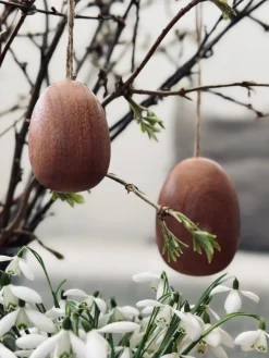 Æg i sabeltræ – Stor