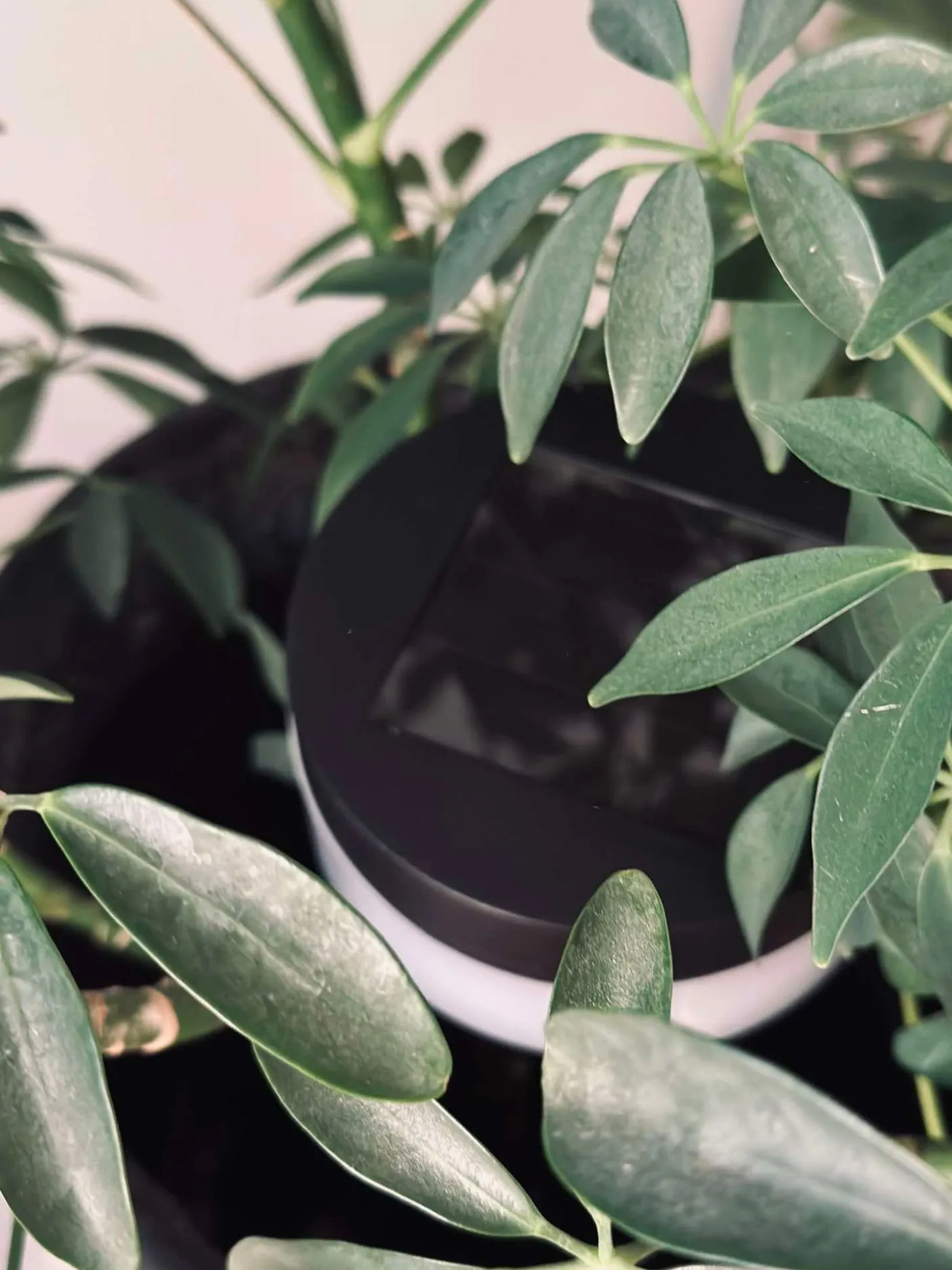 Havebelysning med solceller