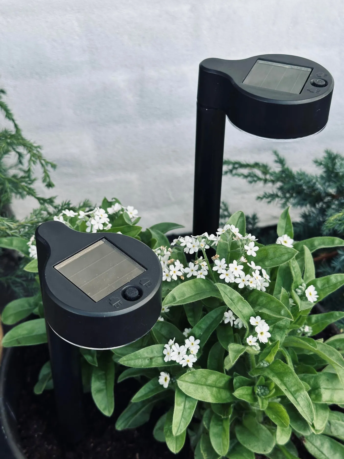 Havelampe Nancy med solar – Sæt med 4 stk.