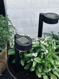 Havelampe Nancy med solar – Sæt med 4 stk.