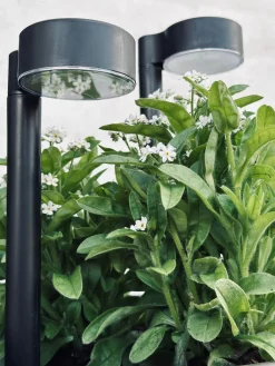 Havelampe Nancy med solar – Sæt med 4 stk.