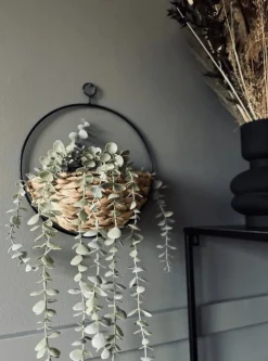 Hængeplante - Mint grøn